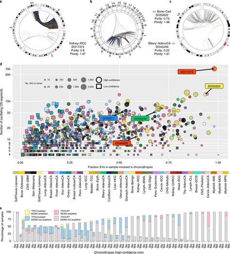 Heterogeneity of chromothripsis events a–c, Examples of massive... | Download Scientific Diagram