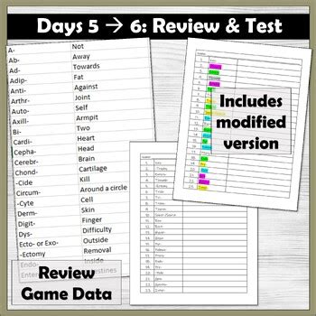 Anatomy & Physiology Prefixes and Suffixes - BUNDLE by Science from Scratch