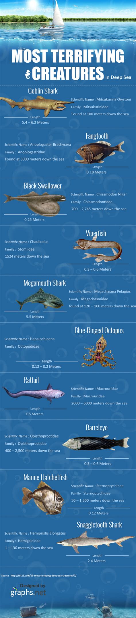 Infographic: The Most Terrifying Creatures in Deep Sea | MaritimeCyprus