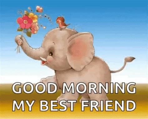an elephant holding a flower with the words good morning my best friend
