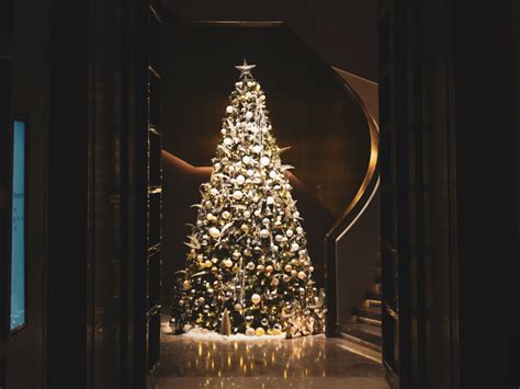 Where to buy a Christmas tree in Dubai: real and artificial