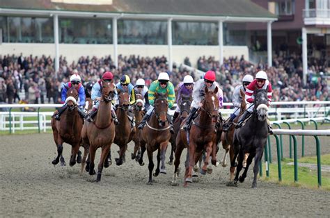 Lingfield All Weather Racecourse