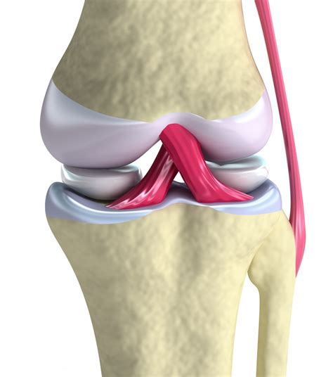 Knee Pain - Estuary Clinic, Topsham Exeter