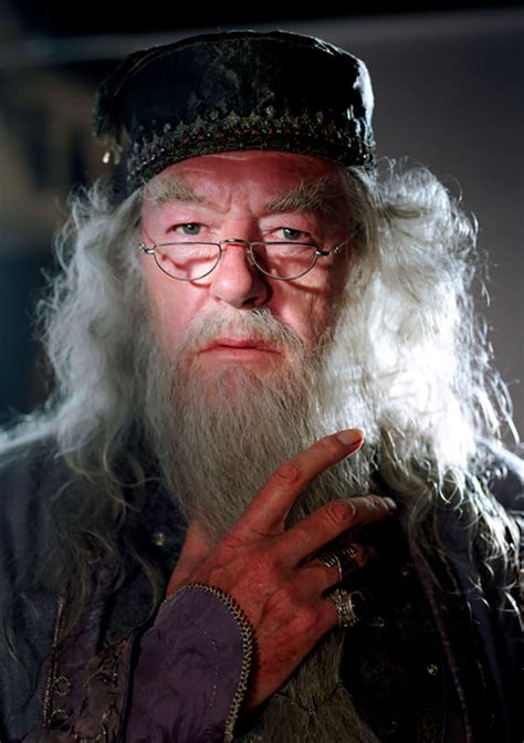 Portrait of Albus Dumbledore — Harry Potter Fan Zone