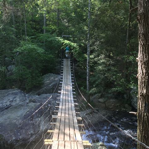 Bridge at Signal Mountain | Signal mountain tennessee, Signal mountain, Nature hikes