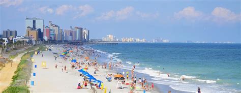 Best Pet Friendly Hotels in Myrtle Beach from $49/night - KAYAK