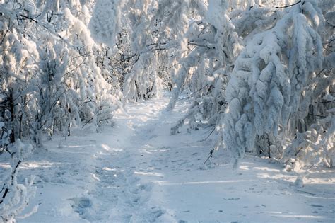 The Siberian winter. by box426 on DeviantArt