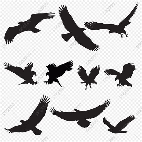 black silhouettes of birds flying in the sky, transparent background png clipart