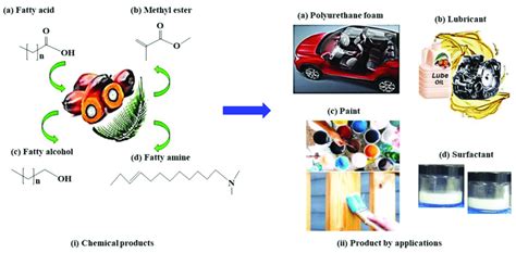 Palm oil used in oleochemical industry: (i) chemical products (ii) and... | Download Scientific ...