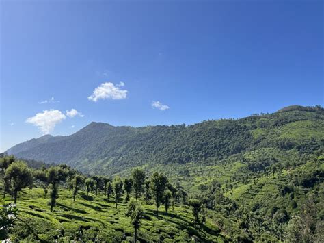 Into the blue of the Nilgiris mountains, India — Detour