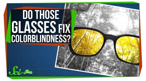 Do Those Glasses Really Fix Colorblindness? - YouTube | Color blind ...