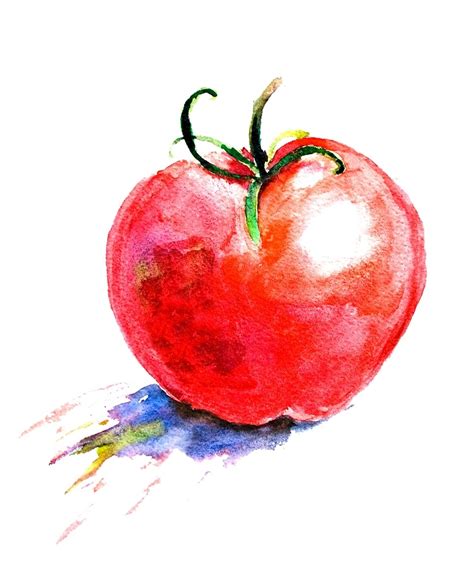 Tomato Watercolor at PaintingValley.com | Explore collection of Tomato ...