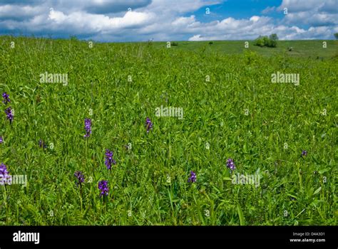 Nature landscape in springtime Stock Photo - Alamy