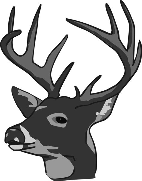 Buck Head Clipart Hawaiidermatology Deer - ClipArt Best - ClipArt Best