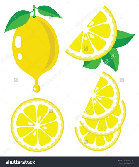 Lemon Slice Drawing at GetDrawings | Free download