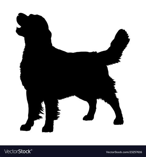 Golden retriever silhouette Royalty Free Vector Image