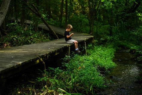 Sit Spotting: Nature Meditation with Kids • RUN WILD MY CHILD