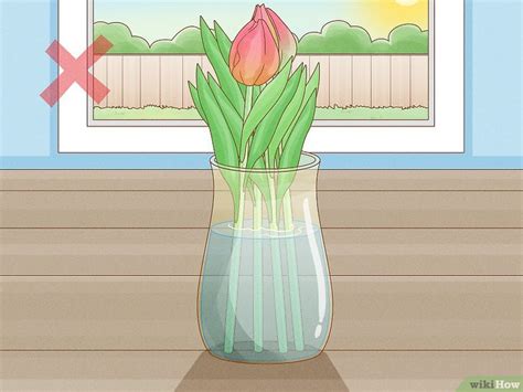 How to Care for Fresh Cut Tulips: Tips for Long-Lasting Blooms