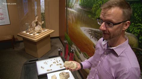 Fossils found in Colorado detail era after dinosaur extinction | 9news.com