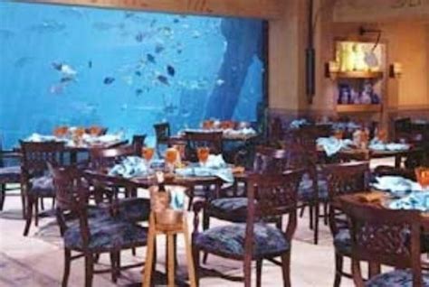 ATLANTIS PARADISE ISLAND - MAMA LOO'S - Restaurant Reviews, Photos ...