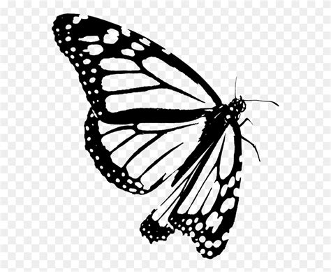 Monarch Butterfly Clipart Black White Outline Monarch Butterfly, Gray, World Of Warcraft HD PNG ...