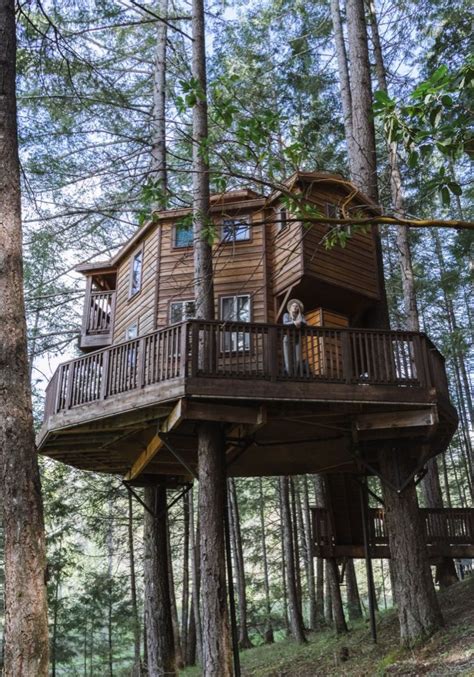 Redwood Treehouse Airbnb in California: Ultimate Redwood Getaway » Miss Rover