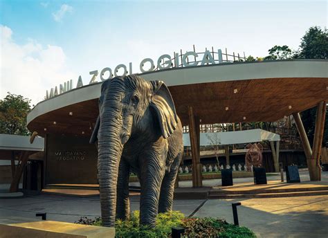 Manila Zoo Reopens This 2022 After Major Renovation—Cleaner and Safer Than Ever | Tatler Asia