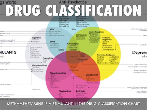 slsi.lk - how long for sulfatrim to work | Explain how are prescription drugs classified theme