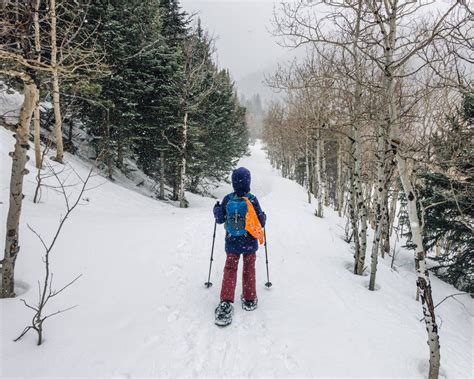 Great Snowshoeing Trails Near Denver | New Denizen