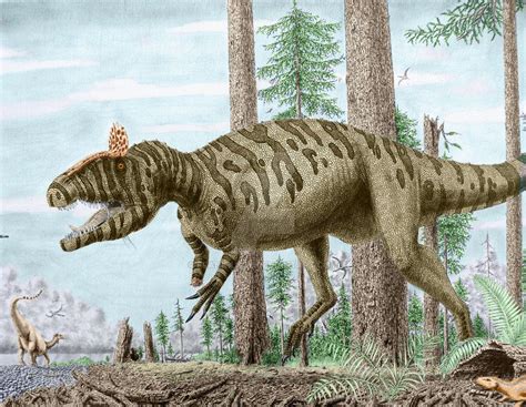 Cryolophosaurus ellioti. by Frank-Lode Dinosaur Pictures, Prehistoric Creatures, Animal Species ...