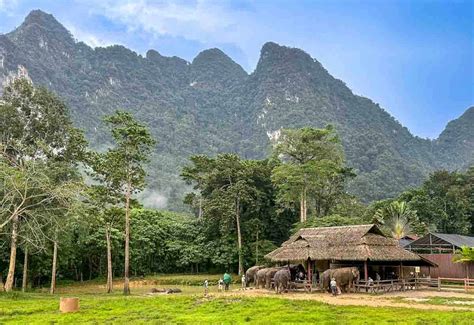 Elephant Hills Khao Sok Review - Thrifty Family Travels