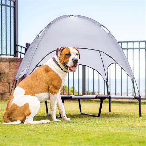 2022 NEW Luxury Elevated Dog Bed With Canopy - Dzordz Shop