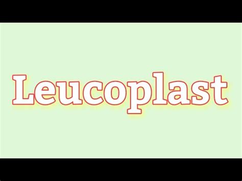 Leucoplast | Types of Leucoplast | Amyloplast | Elaioplast | Proteinoplast | Types of Plastids ...