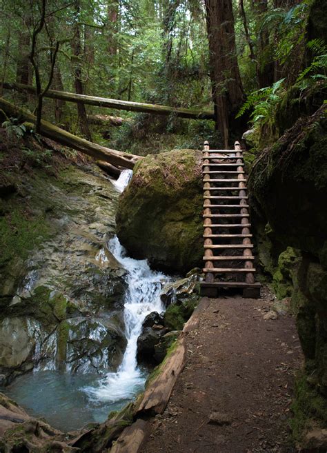 Mount Tamalpais State Park | The Dyrt