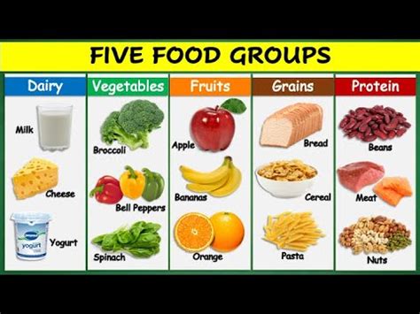 Food Groups