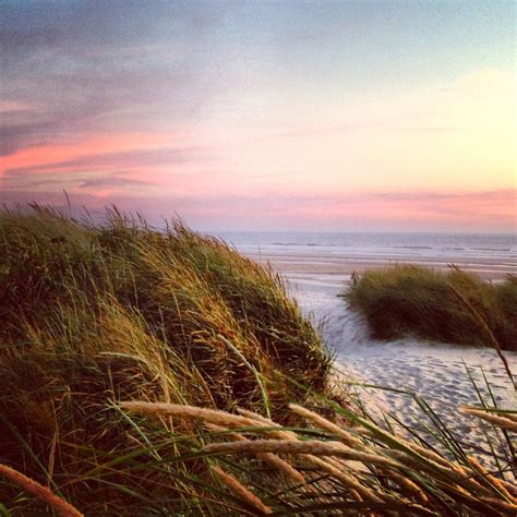 Manzanita Oregon - love the beach! | Manzanita oregon, Manzanita beach, Pacific coast highway