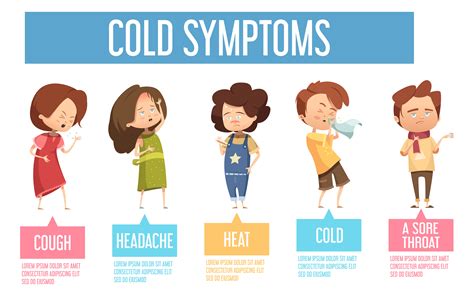 Cold Symptoms 2024 Adults - Vilma Roxine