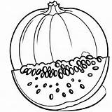 Cantaloupe Outline Black And White Cute coloring Book  Premium AI sketch template