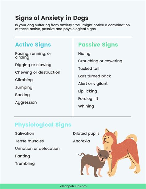 What Are The Signs Of Anxiety In Dogs