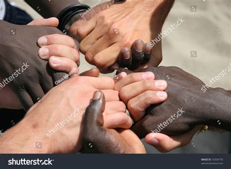 Black And White Hands Joined Together Stock Photo 16304770 : Shutterstock