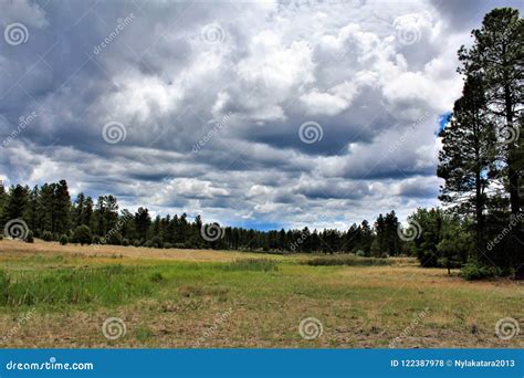 White Mountain Nature Center, Pinetop Lakeside, Arizona, United States ...