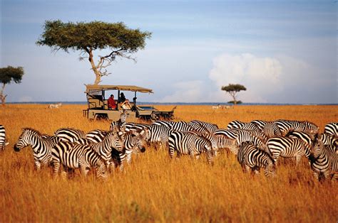 The Serengeti National Park - Travel Wide Flights