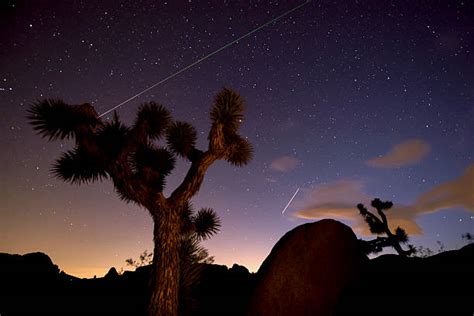 Mojave Desert Night Desert Sky Stock Photos, Pictures & Royalty-Free Images - iStock