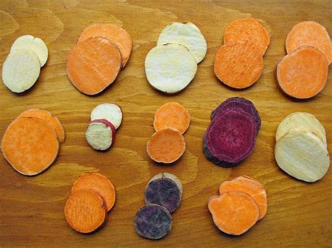 Sweet Potato Varieties: Something Old, Something New - Growing Magazine