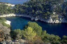 Mediterranean Forest | Encyclopedia.com