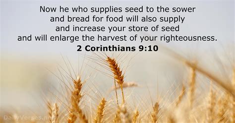 13 Bible Verses about the Harvest - DailyVerses.net