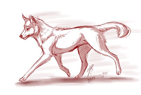 Red Wolf Drawing Easy : Red Wolf Drawing By Misterdevils On Deviantart ...