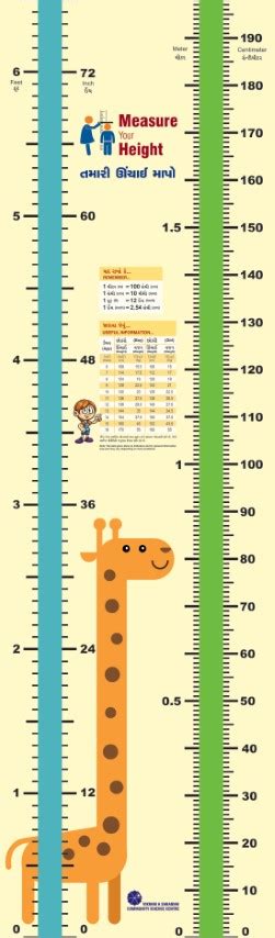 Height Measurement Chart – Science Shop