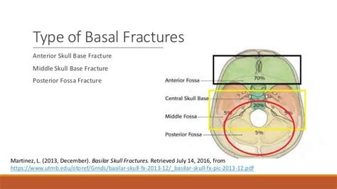 Basal skull fractures