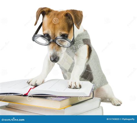 Avid Smart Reader Stock Photo - Image: 51743023